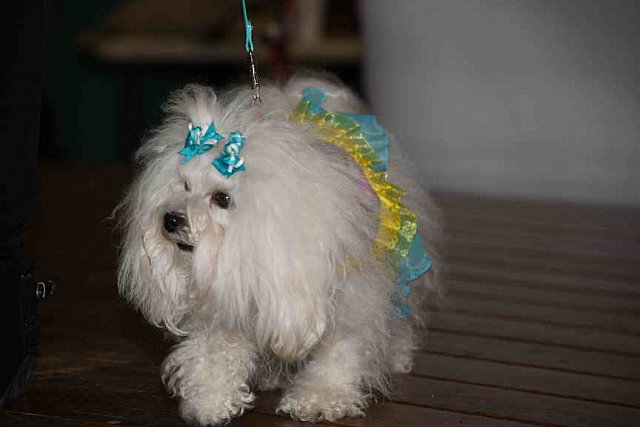 EFF-PA-4-12-19-4657-DDeRosaPhoto