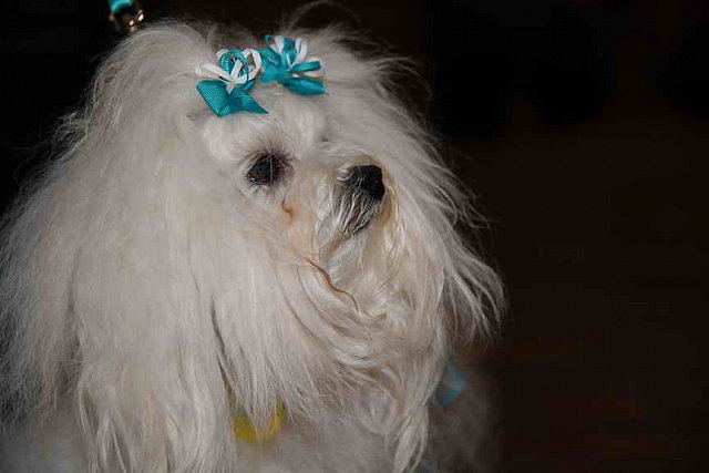 EFF-PA-4-12-19-4658-DDeRosaPhoto