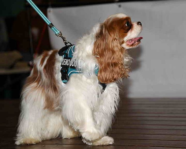 EFF-PA-4-12-19-4723-DDeRosaPhoto