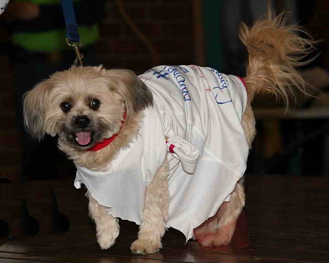 EFF-PA-4-12-19-4738-DDeRosaPhoto