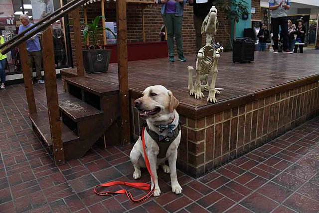 EFF-PA-4-12-19-4772-DDeRosaPhoto