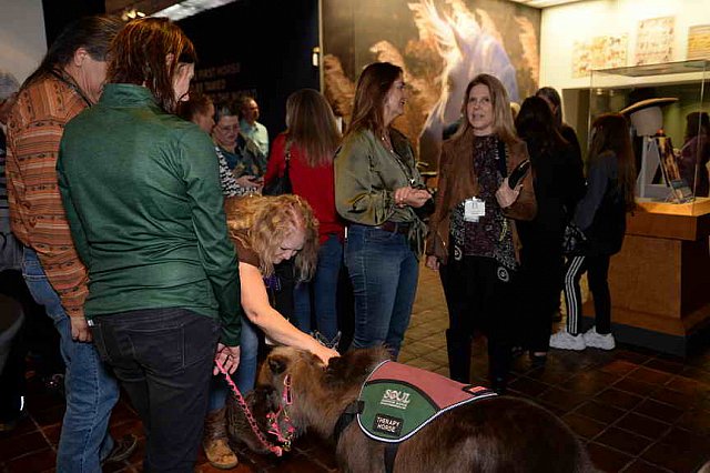 EFF19-12-5-19-VIP Party-8297-DDeRosaPhoto