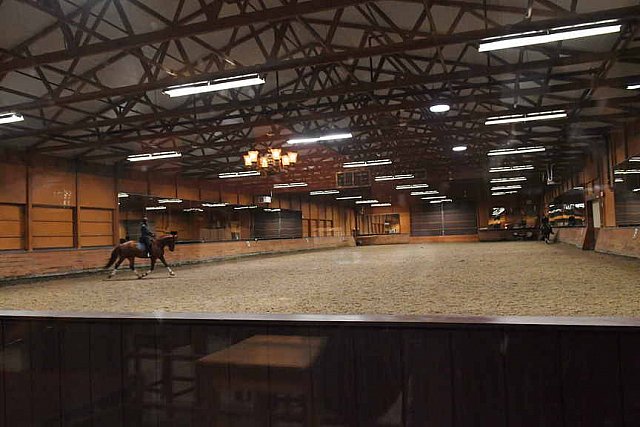 EFF21-11-11-21-6168-DDeRosaPhoto