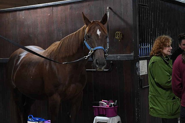 EFF21-11-11-21-6184-DDeRosaPhoto