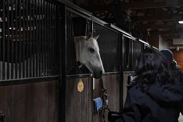 EFF21-11-11-21-6190-DDeRosaPhoto