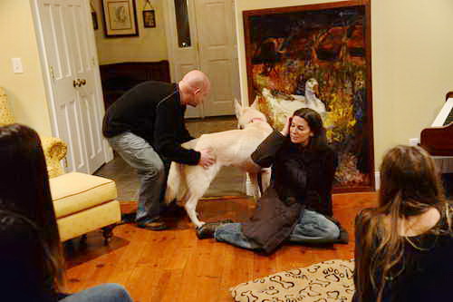 Family-David-11-27-14-6876-DDeRosaPhoto