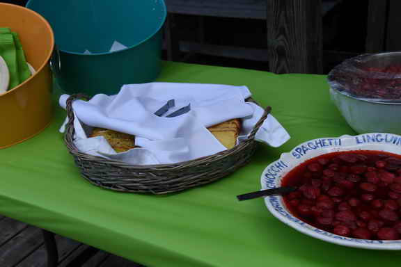 Saccardi-BethShower-6-3-18-0847-DDeRosaPhoto