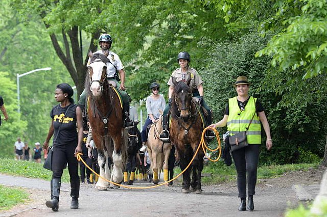 GALLOPNYC-5-22-2022-4312-DDeRosaPhoto