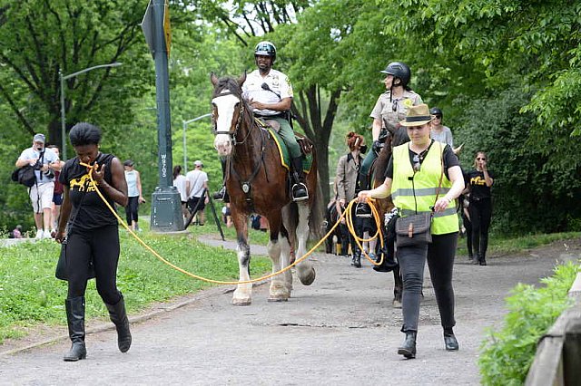 GALLOPNYC-5-22-2022-4318-DDeRosaPhoto