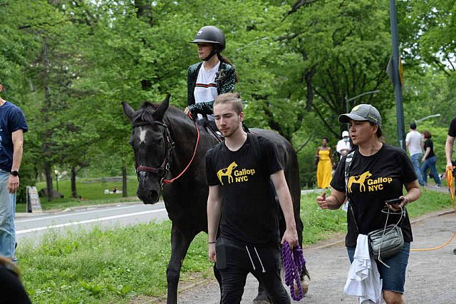 GALLOPNYC-5-22-2022-4377-DDeRosaPhoto