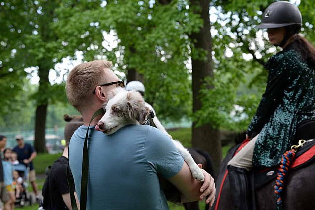 GALLOPNYC-5-22-2022-4416-DDeRosaPhoto