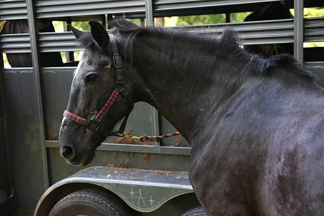 GALLOPNYC-5-22-2022-9353-DDeRosaPhoto