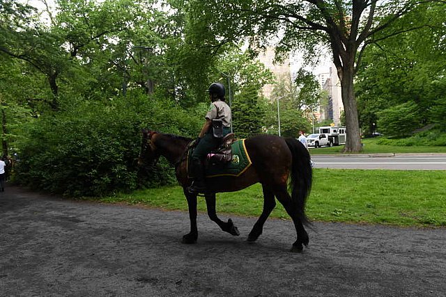 GALLOPNYC-5-22-2022-9454-DDeRosaPhoto