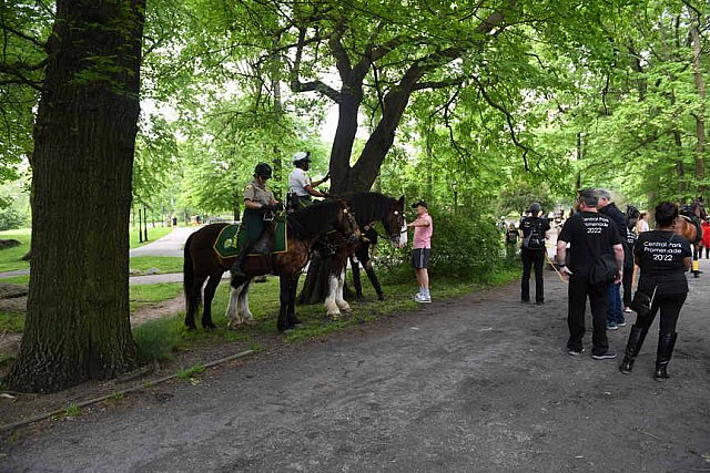 GALLOPNYC-5-22-2022-9456-DDeRosaPhoto