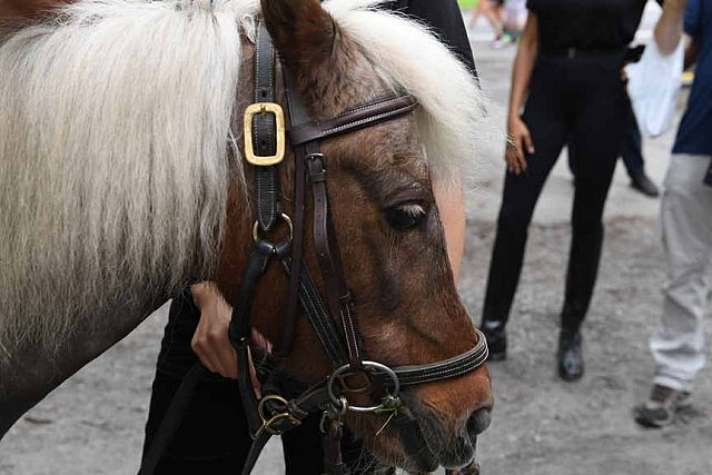 GALLOPNYC-5-22-2022-9537-DDeRosaPhoto