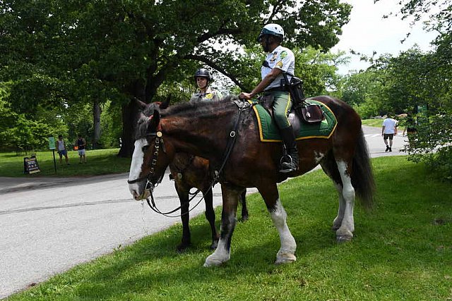 GALLOPNYC-5-22-2022-9600-DDeRosaPhoto