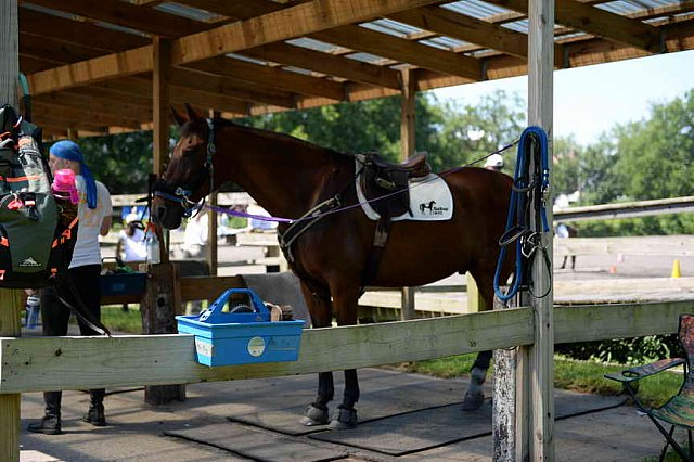 GallopNYC Sunrise-Farm-06-26-22-5204-DDeRosaPhoto