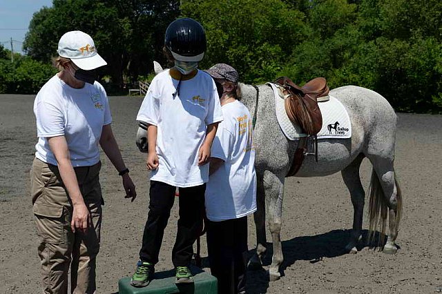GallopNYC Sunrise-Farm-06-26-22-5212-DDeRosaPhoto