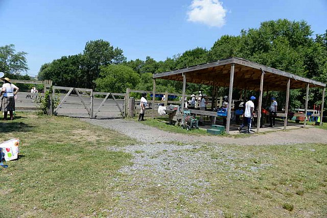 GallopNYC Sunrise-Farm-06-26-22-5223-DDeRosaPhoto