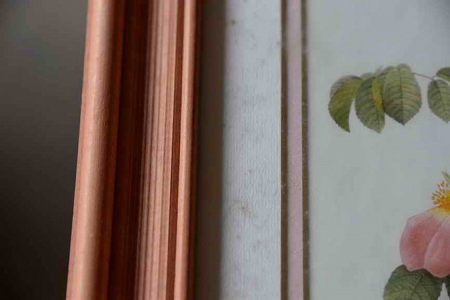 DER 4159-DDeRosaPhoto