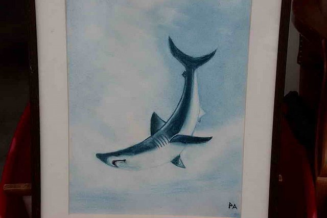 DER 4208-DDeRosaPhoto