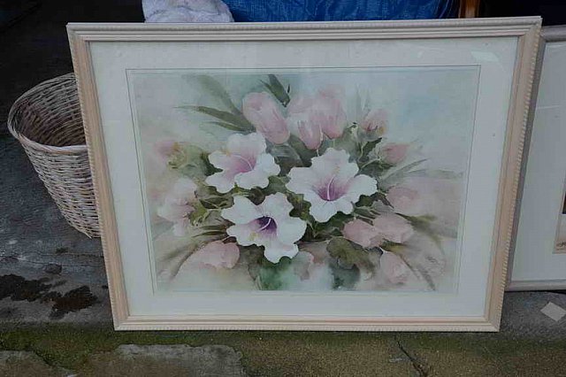 DER 4252-DDeRosaPhoto