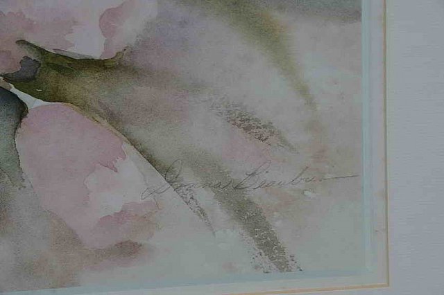 DER 4254-DDeRosaPhoto