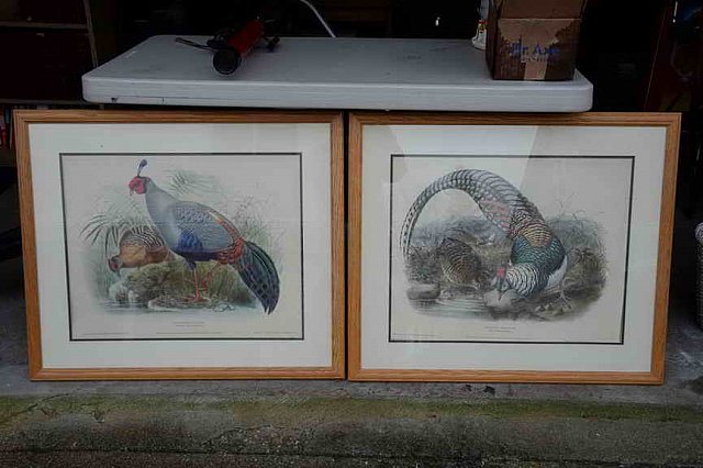 DER 4295-DDeRosaPhoto