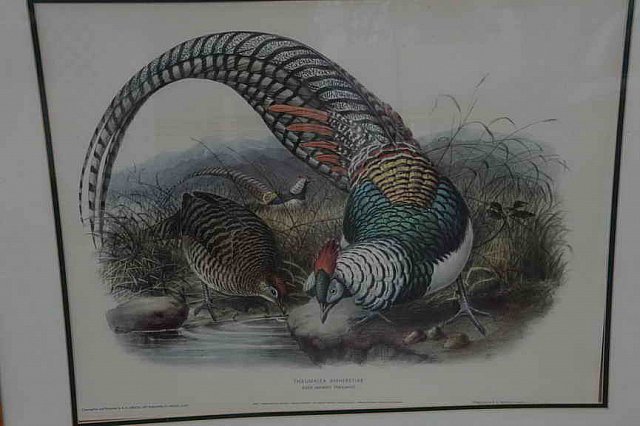 DER 4297-DDeRosaPhoto