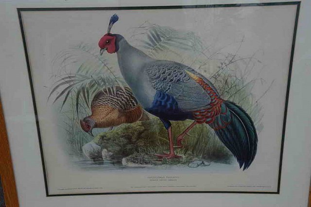 DER 4298-DDeRosaPhoto