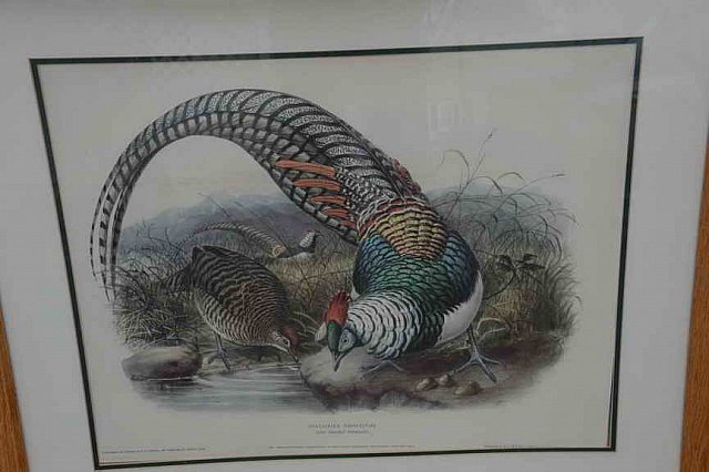 DER 4302-DDeRosaPhoto