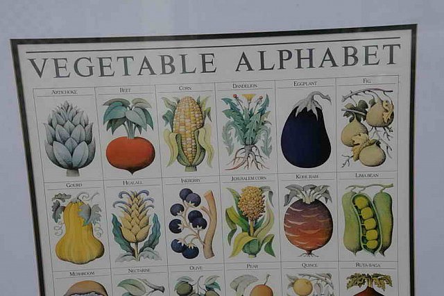 DER 4319-DDeRosaPhoto