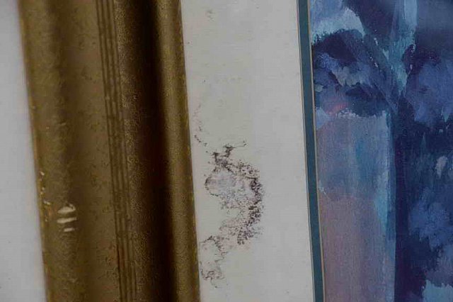 DER 4337-DDeRosaPhoto