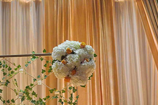 Gurudev-6-24-17-8810-DDeRosaPhoto