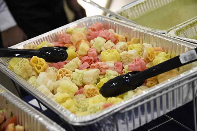 Gurudev1-7-11-14-5375-DDeRosaPhoto