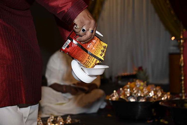 Gurudev1-7-12-14-7288-DDeRosaPhoto