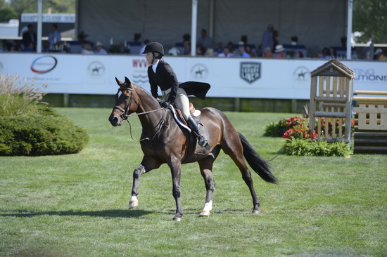 HC-8-26-12-SophieMichaels-Stellar-HtrDrby-9522-DDeRosaPhoto