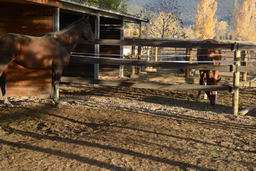 HHB2-10-16-12-2290-DDeRosaPhoto-DDeRosaPhoto