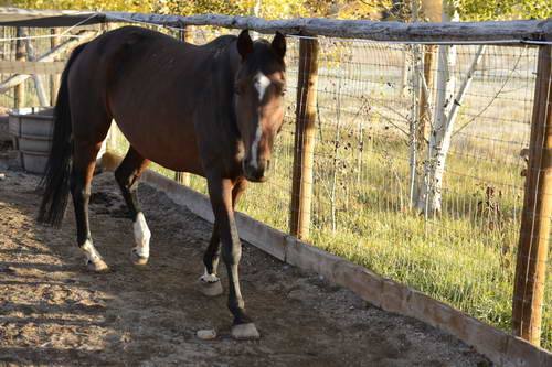 HHB2-10-16-12-2293-DDeRosaPhoto-DDeRosaPhoto