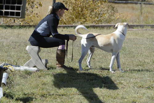 HHB2-10-14-12-1433-DDeRosaPhoto