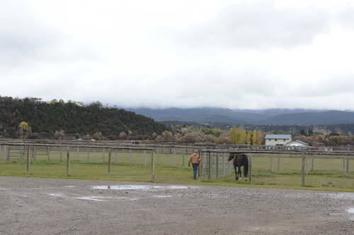 HHB2-10-13-12-0054-DDeRosaPhoto