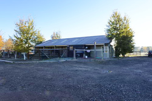 HHB2-10-14-12-1974-DDeRosaPhoto