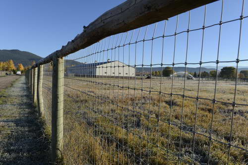 HHB2-10-14-12-2020-DDeRosaPhoto