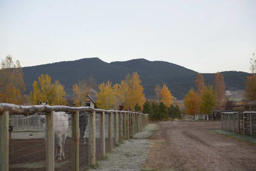 HHB2-10-16-12-2199-DDeRosaPhoto-DDeRosaPhoto