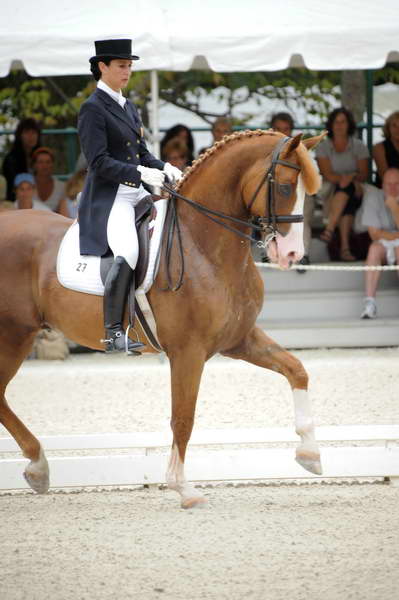 CatherineHaddadStaller-Winyamaro-USEF_2010_WEG_SelTrials_DER_5995-DDeRosaPhoto.jpg