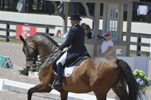 HHB-3-16-13-FL-02899-EviStrasser-RigaudonTyme-CAN-DDeRosaPhoto