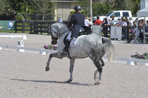 HHB-3-16-13-FL-03199-EviStrasser-RenaissanceTyme-CAN-DDeRosaPhoto