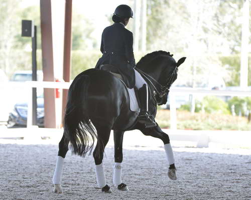 HHB-3-16-13-FL-03445-DDeRosaPhoto - Copy