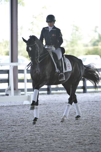 HHB-3-16-13-FL-03449-DDeRosaPhoto