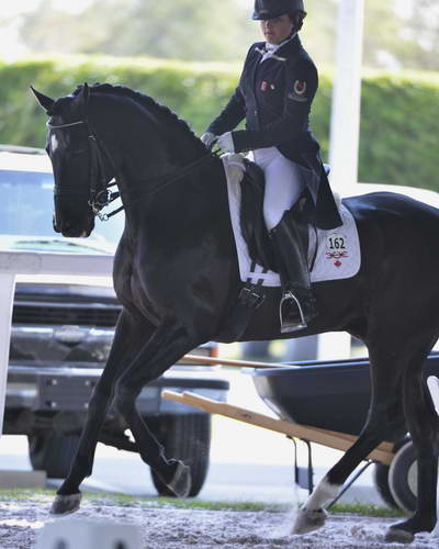 HHB-3-16-13-FL-03503-DDeRosaPhoto - Copy